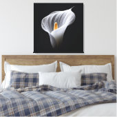 Witte Calla Lily op zwart Canvas Afdruk (Insitu (Slaapkamer))