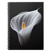 Witte Calla Lily op zwart Notitieboek (Voorkant)