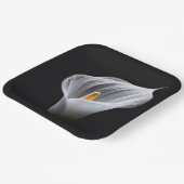 Witte Calla Lily op zwart Papieren Bordje (Gebogen)