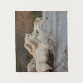 Witte Camargue-paarden die in water lopen Wandkleed (Voorkant)