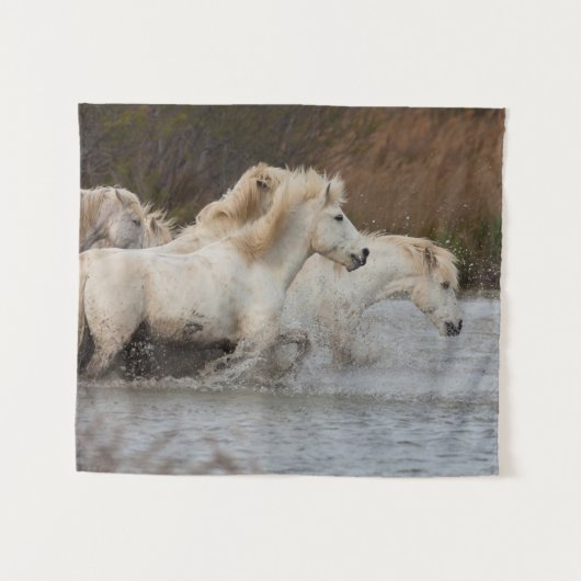 Witte Camargue-paarden die in water lopen Wandkleed (Voorkant (horizontaal))