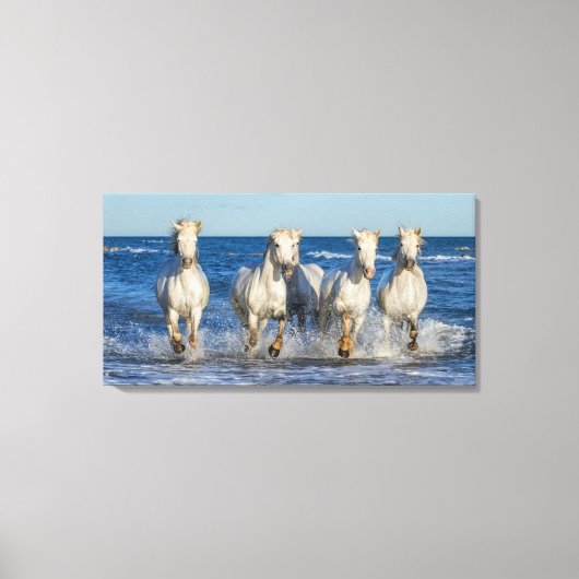 Witte Camarque paarden galopperen door golven Canvas Afdruk (Voorkant)