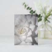 Witte Camelia Briefkaart (Staand voorkant)