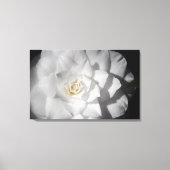 Witte Camelia Canvas Afdruk (Voorkant)