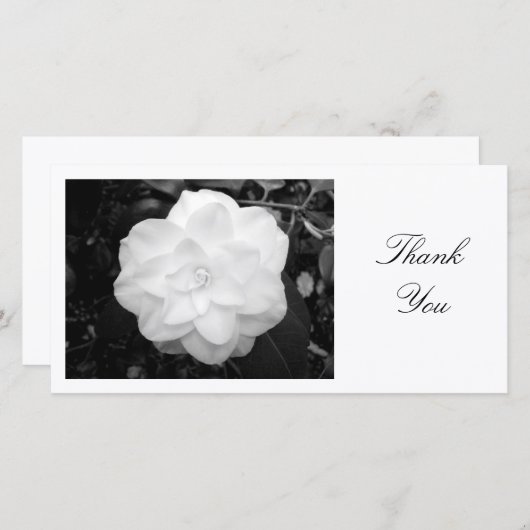 Witte Camelia - Dank je wel Bedankkaart (Voorkant / Achterkant)