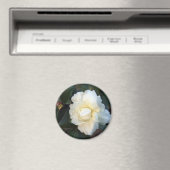 witte camellia bloem magneet (Insitu (Vaatwasser))
