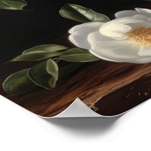 Witte Camellia Bloemen Art Print Poster (Hoek)