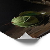 Witte Camellia Bloemen Art Print Poster (Hoek)