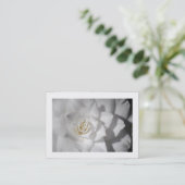 Witte Camellia (Grenzen) Visitekaartje (Staand voorkant)