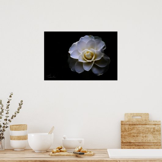 witte camellietkleur poster (Keuken)