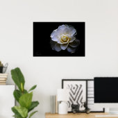 witte camellietkleur poster (Thuiskantoor)