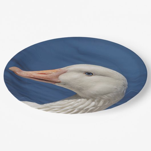 Witte Canadese gans Papieren Bordje (Gekanteld)