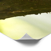 Witte Capuchin-apen in Costa Rica Poster (Hoek)