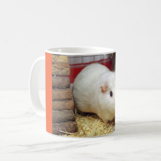 witte cavia ' s mok (Voorkant links)