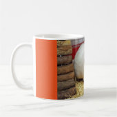 witte cavia ' s mok (Links)