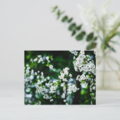 Witte Cherry Blossom Green Leaves Briefkaart (Staand voorkant)