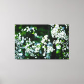 Witte Cherry Blossom Green Leaves Canvas Afdruk (Voorkant)