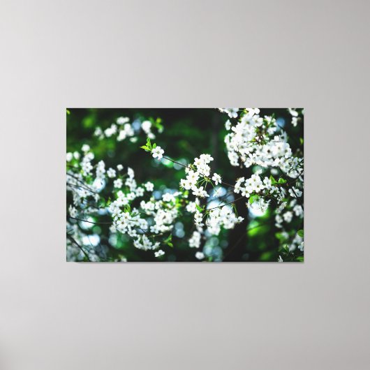 Witte Cherry Blossom Green Leaves Canvas Afdruk (Voorkant)