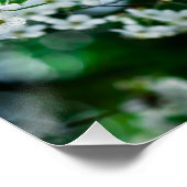 Witte Cherry Blossom Green Leaves Poster (Hoek)
