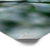 Witte Cherry Blossom Green Leaves Poster (Hoek)