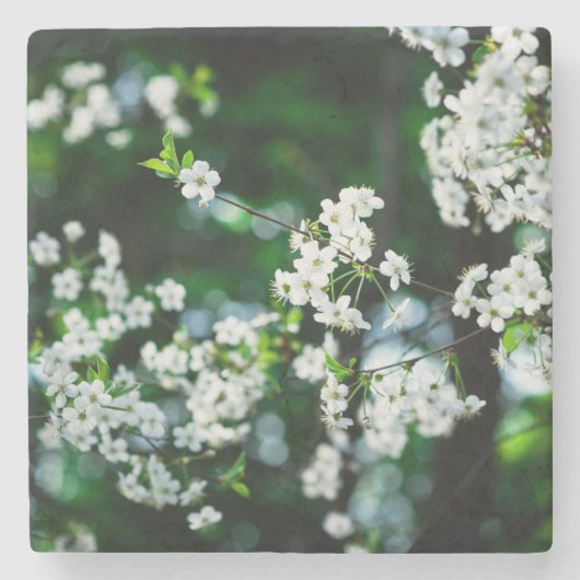 Witte Cherry Blossom Green Leaves Stenen Onderzetter (Voorkant)