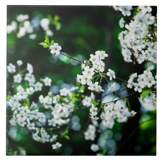 Witte Cherry Blossom Green Leaves Tegeltje (Voorkant)