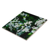 Witte Cherry Blossom Green Leaves Tegeltje (Zijkant)