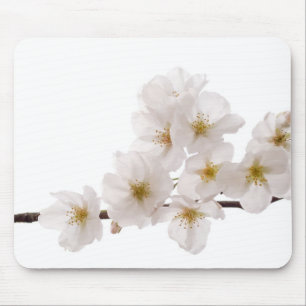 Witte Cherry Blossom Muismat
