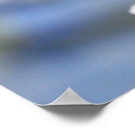 Witte Cherry Tree Blossom Poster (Hoek)