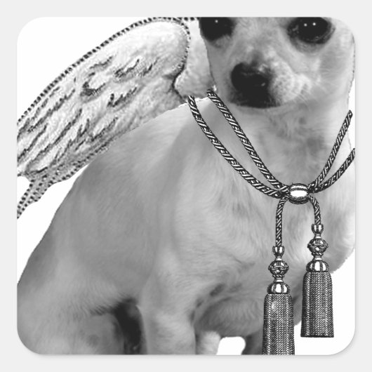 Witte Chihuahua Angel Wings Vierkante Sticker (Voorkant)