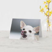 Witte Chihuahua die lippen likken Kaart (Gele Bloem)