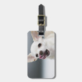 Witte Chihuahua likkende lippen Bagagelabel (Voorkant verticaal)
