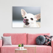 Witte Chihuahua likkende lippen Canvas Afdruk (Insitu (Woonkamer))