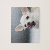 Witte Chihuahua likkende lippen Legpuzzel (Verticaal)