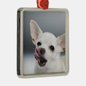 Witte Chihuahua likkende lippen Metalen Ornament (Rechts)