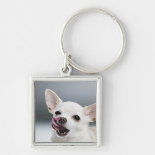 Witte Chihuahua likkende lippen Sleutelhanger