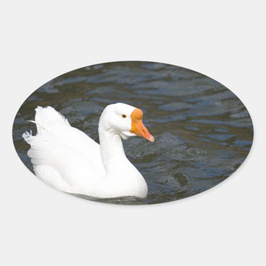 Witte Chinese gans Ovale Sticker (Voorkant)