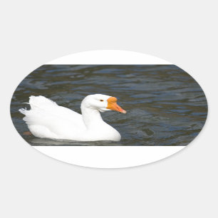 Witte Chinese Gans Ovale Sticker