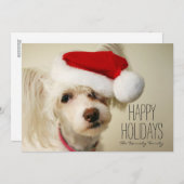 Witte Chinese kuifpowderpuffhond Feestdagenkaart (Voorkant / Achterkant)