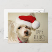 Witte Chinese kuifpowderpuffhond Feestdagenkaart (Voorkant / Achterkant)