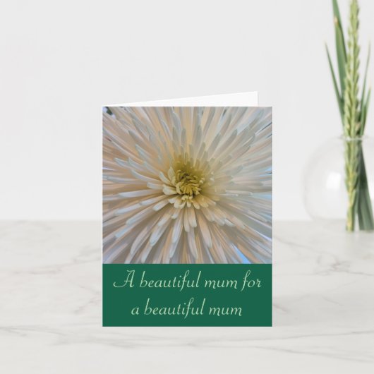 Witte chrysant Wenskaart voor mama Kaart (Voorkant)