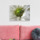 Witte Chrysanthemum Canvasprint Canvas Afdruk (Insitu (Woonkamer))