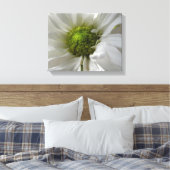 Witte Chrysanthemum Canvasprint Canvas Afdruk (Insitu (Slaapkamer))