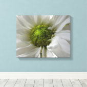 Witte Chrysanthemum Canvasprint Canvas Afdruk (Insitu (Houten vloer))