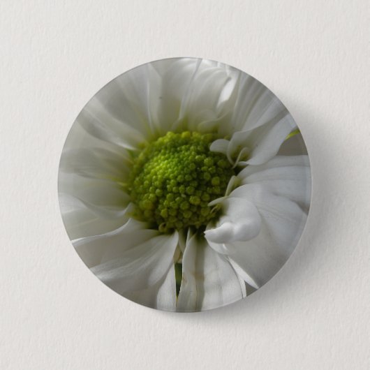 Witte Chrysanthemum Knop Ronde Button 5,7 Cm (Voorkant)