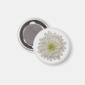 Witte Chrysanthemum Magneet (Voorkant / Achterkant)