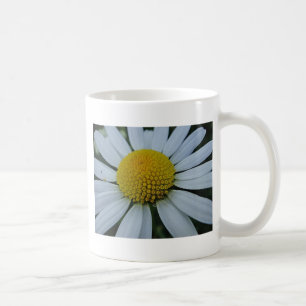 Witte chrysanthemum met geel midden koffiemok