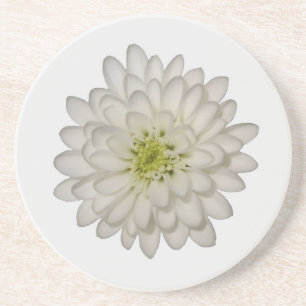 Witte Chrysanthemum Zandsteen Onderzetter