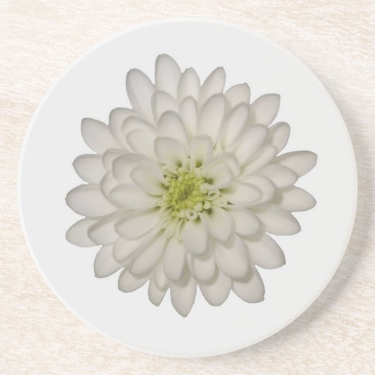 Witte Chrysanthemum Zandsteen Onderzetter (Voorkant)
