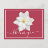 Witte Clematis Bloem Dieprode Achtergrond Dank Je Briefkaart (Voorkant)